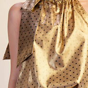 Polka Dot Tie Halter Neck Metallic Top